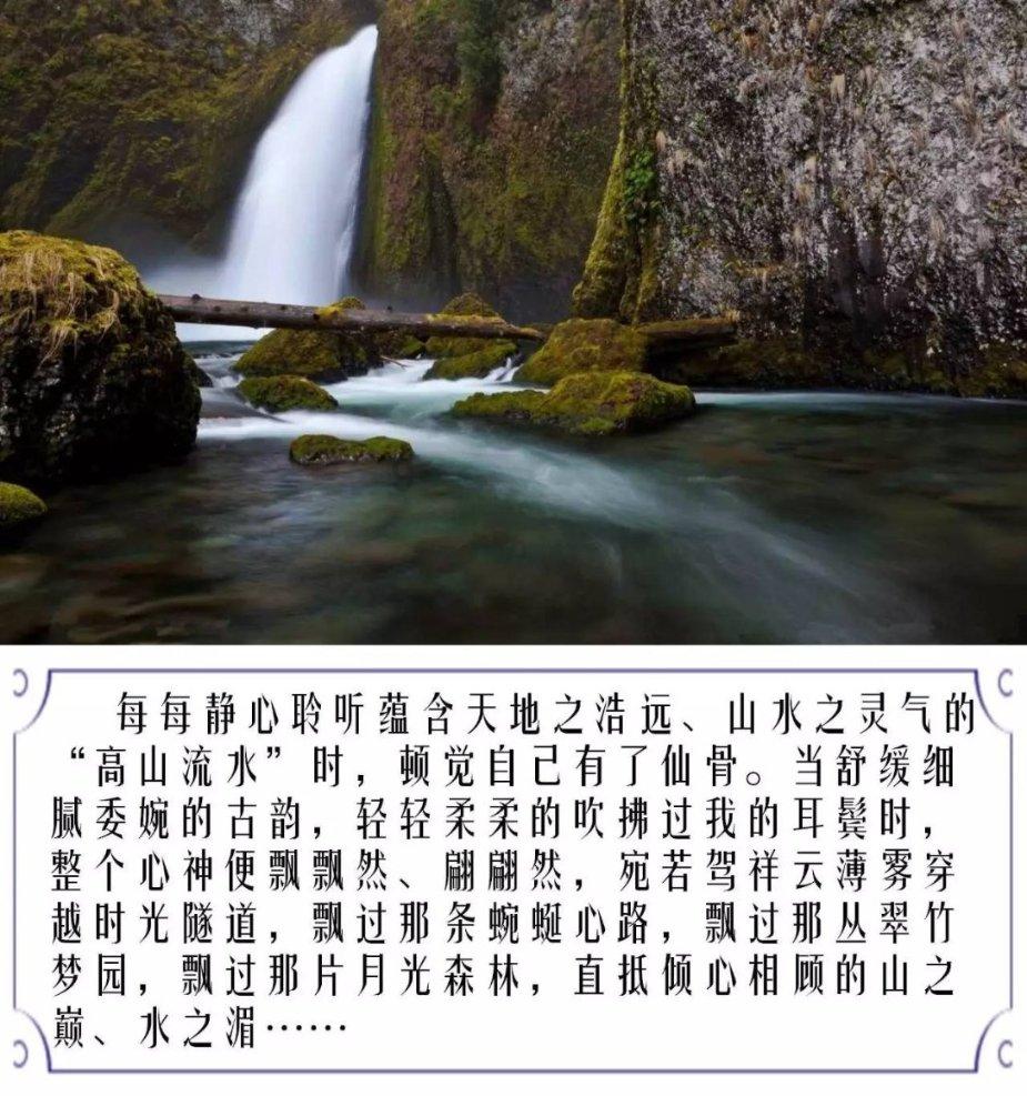 秘密花园找不同
